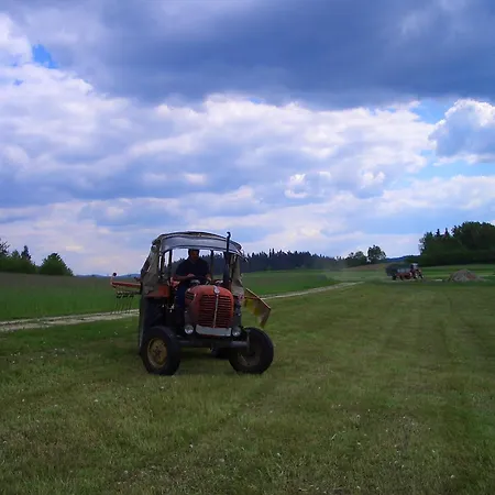 Διαμέρισμα Bauernhof Familie Tauber-scheidl Grossmeinharts