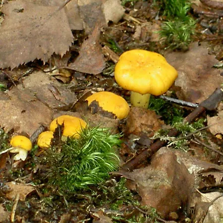 Διαμέρισμα Bauernhof Familie Tauber-scheidl