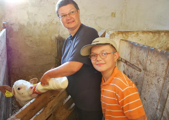 Bauernhof Familie Tauber-scheidl * Grossmeinharts