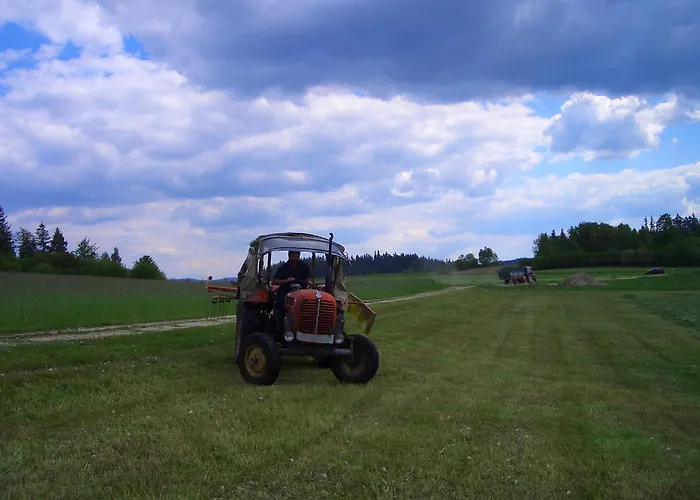Apartment Bauernhof Familie Tauber-scheidl Grossmeinharts