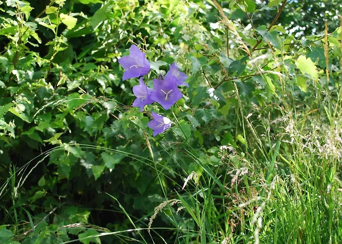 Bauernhof Familie Tauber-scheidl * Grossmeinharts